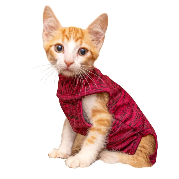ROUPA PÓS CIRÚRGICA PARA GATOS