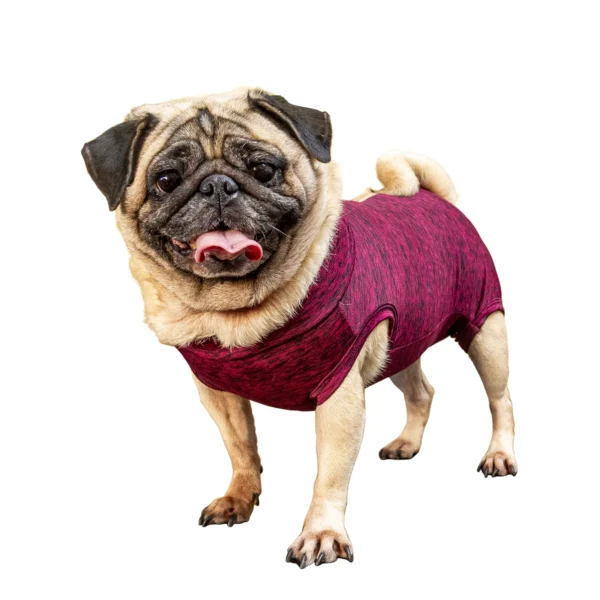 ROUPA PÓS-CIRÚRGICA RAÇAS ESPECIAIS UNISSEX - PUG