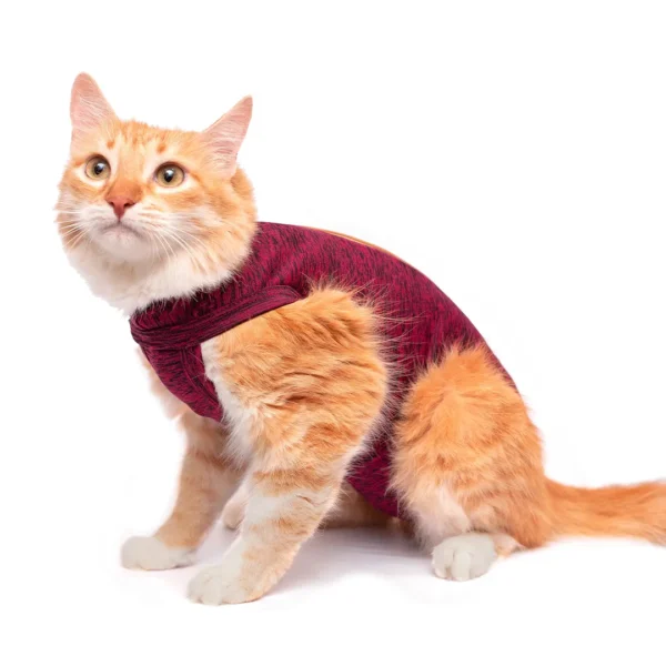 ROUPA PÓS-CIRÚRGICA COM VELCRO EXCLUSIVA PARA GATOS